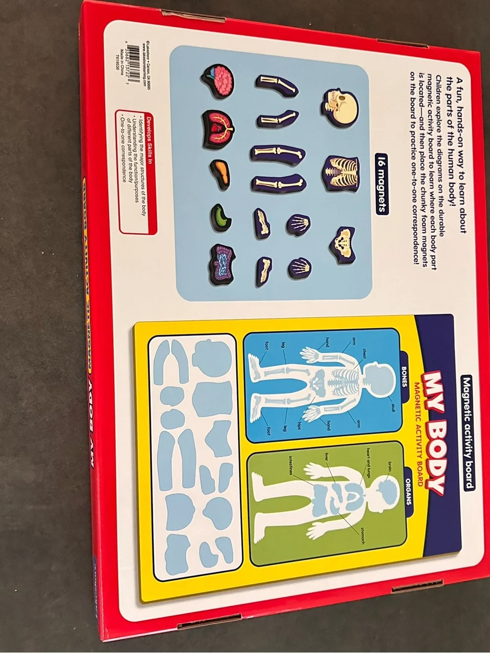 Lakeshore My Body Magnetic Activity Board